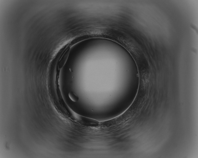 X0000093130728200709261347