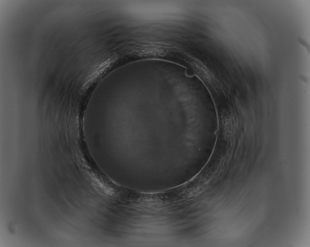 X0000093130729200709261347