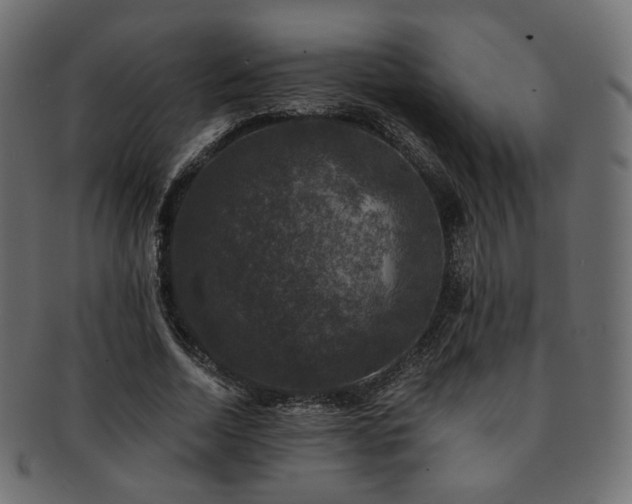 X0000093130730200709261347