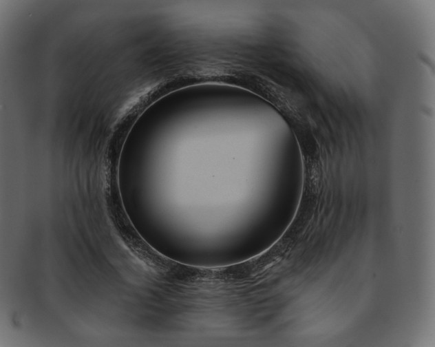 X0000093130732200709261347
