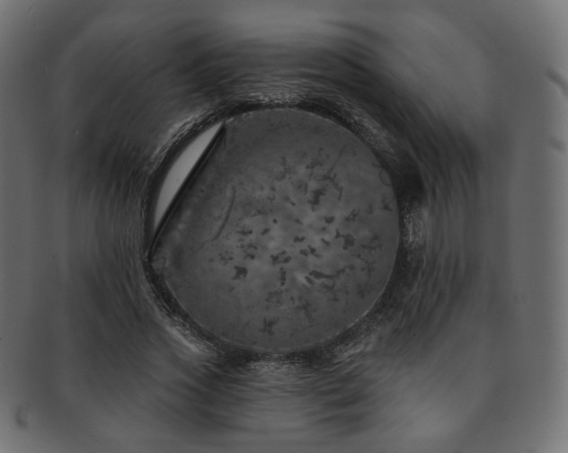 X0000093130733200709261347