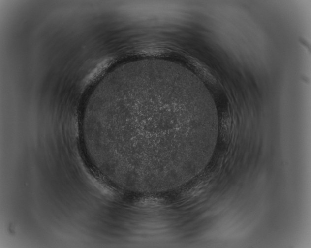 X0000093130734200709261347