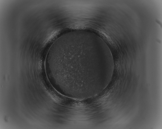 X0000093130735200709261347