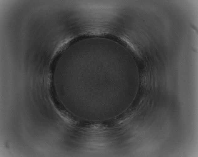 X0000093130736200709261347