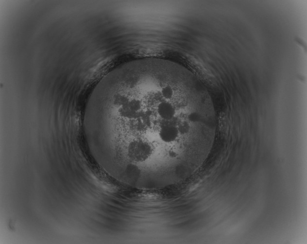 X0000093130741200709261347