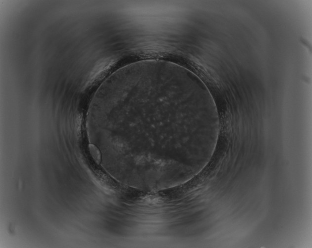X0000093130742200709261347