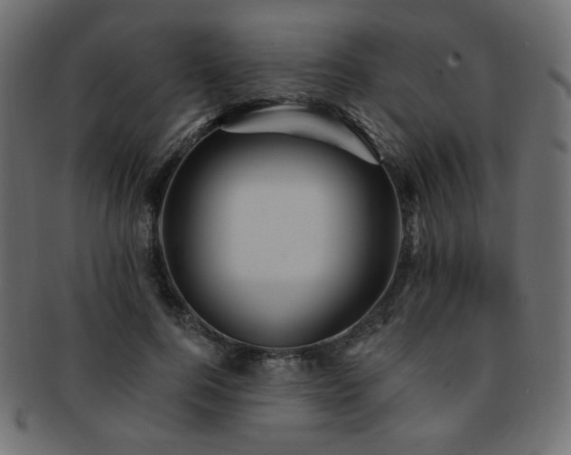X0000093130744200709261347