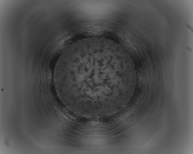 X0000093130745200709261347