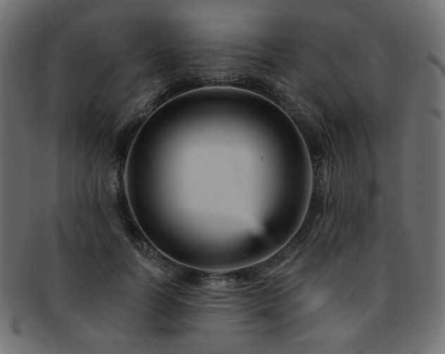 X0000093130746200709261348
