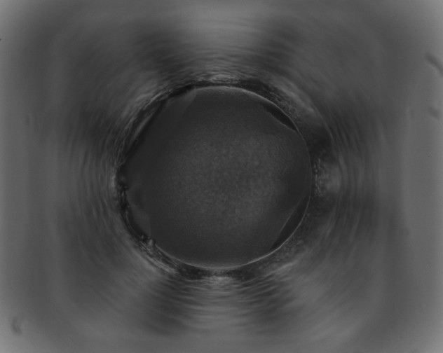 X0000093130748200709261348