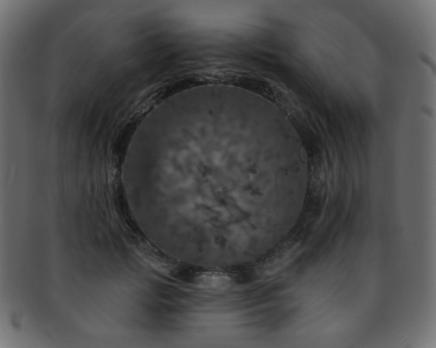 X0000093130749200709261348