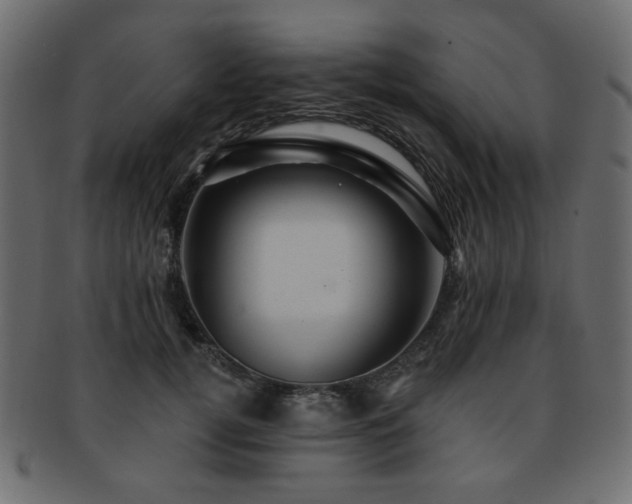 X0000093130752200709261348