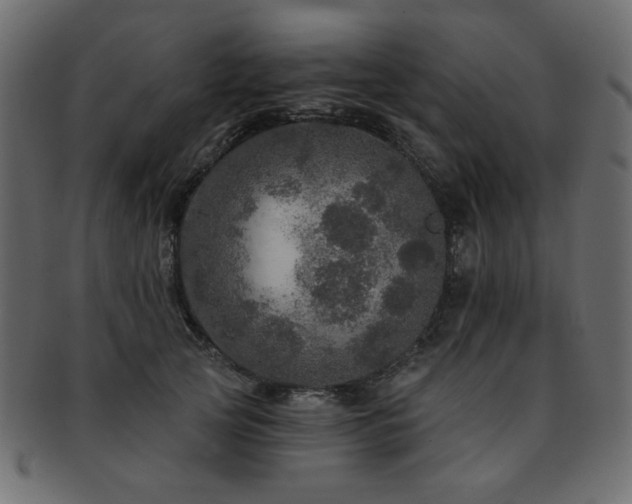 X0000093130753200709261348