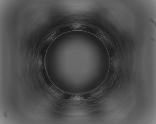 X0000093130754200709261348