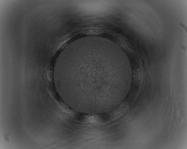 X0000093130755200709261348