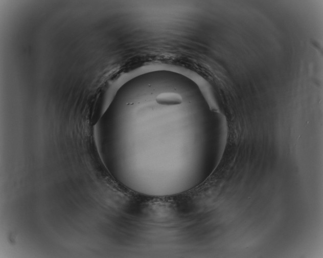 X0000093130756200709261348