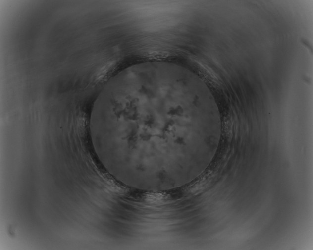 X0000093130757200709261348