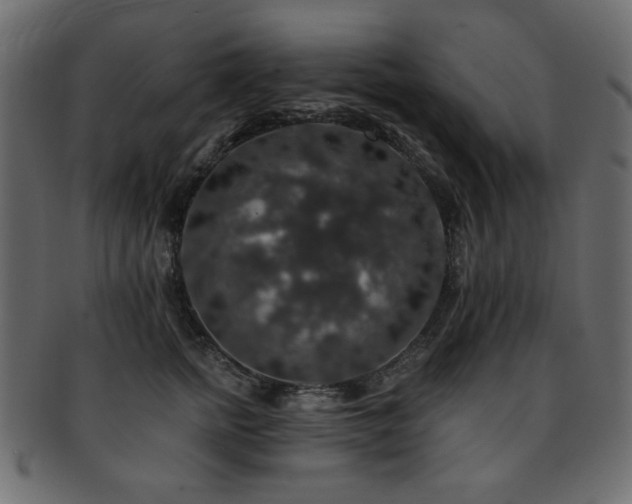 X0000093130758200709261348