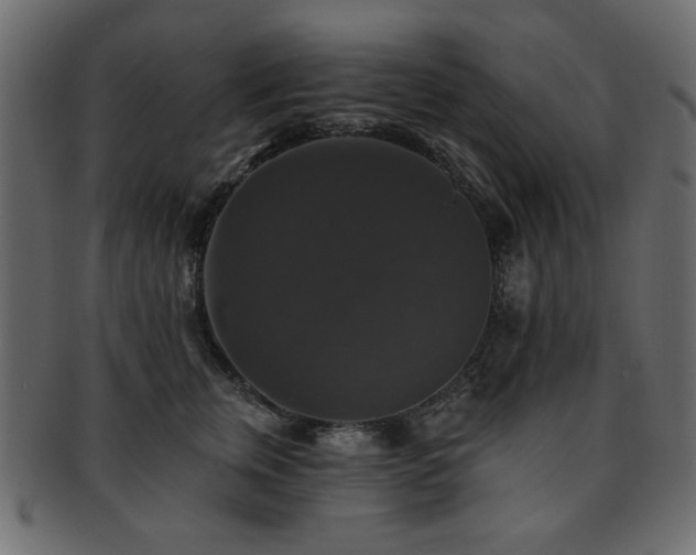 X0000093130759200709261348