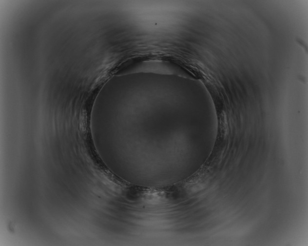 X0000093130760200709261348