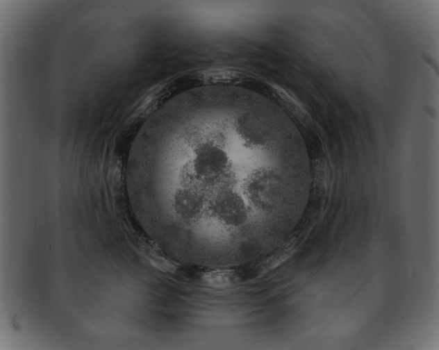 X0000093130761200709261348