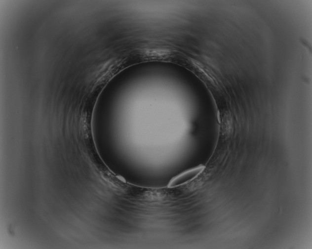 X0000093130764200709261348