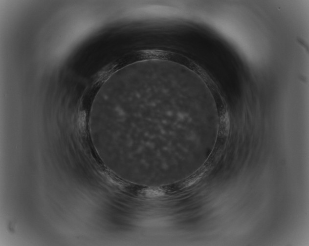 X0000093130765200709261348