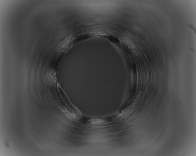 X0000093130766200709261348