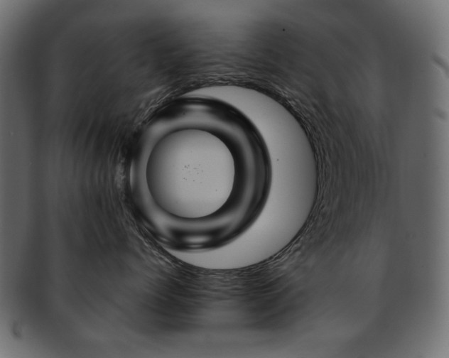 X0000093130768200709261348