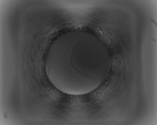 X0000093130769200709261347