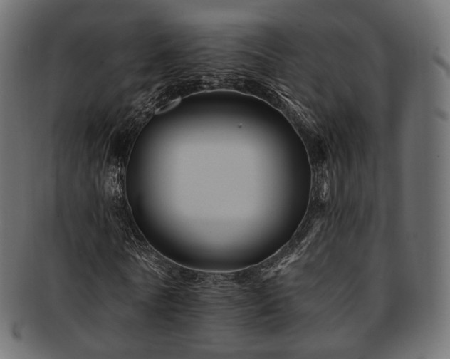 X0000093130770200709261347