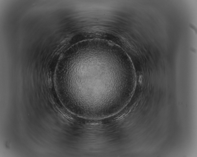 X0000093130771200709261347