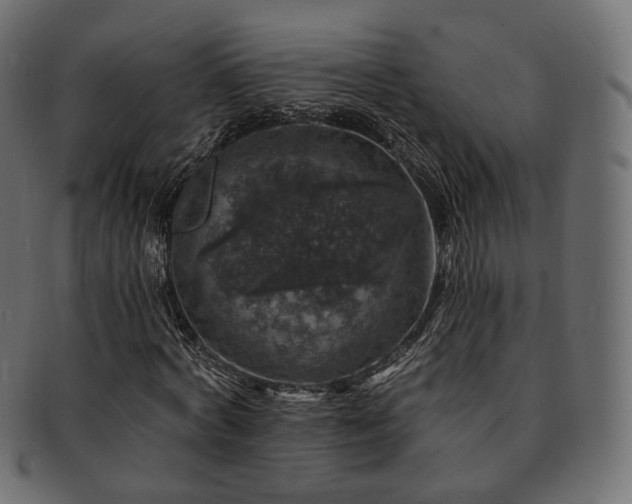X0000093130772200709261347
