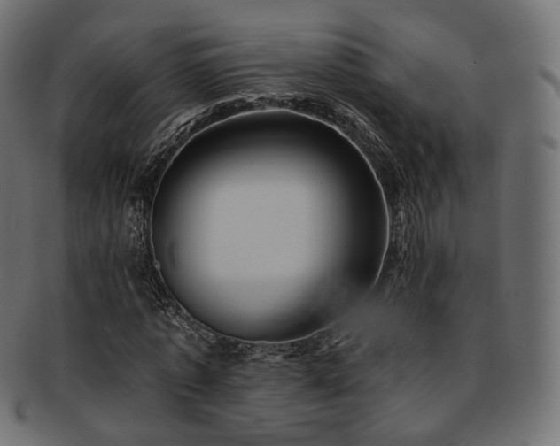 X0000093130773200709261347