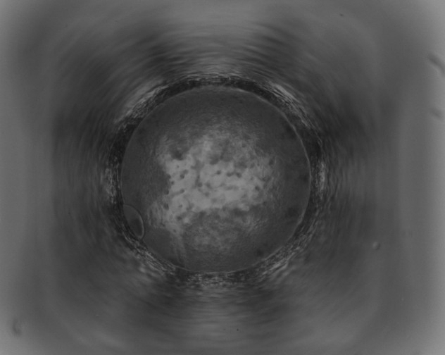 X0000093130774200709261347