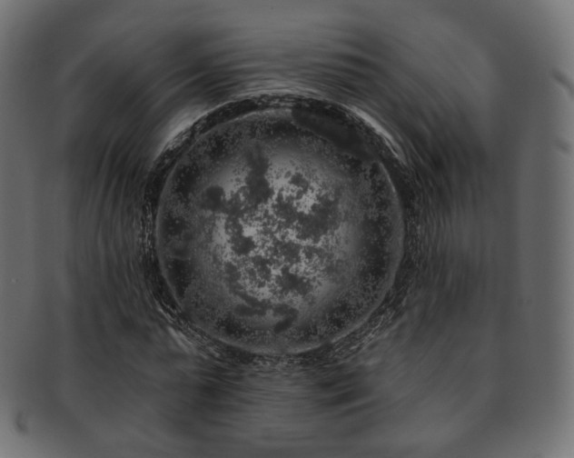 X0000093130775200709261347