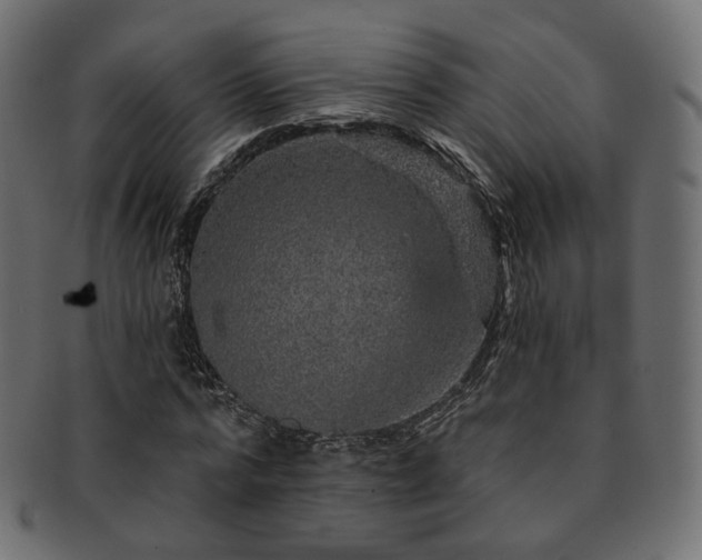 X0000093130776200709261347