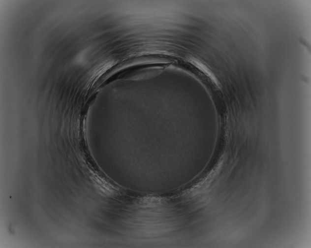 X0000093130777200709261347