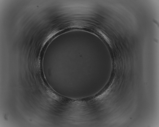 X0000093130779200709261347