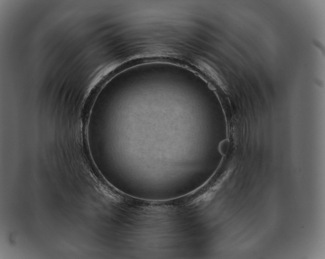X0000093130781200709261347