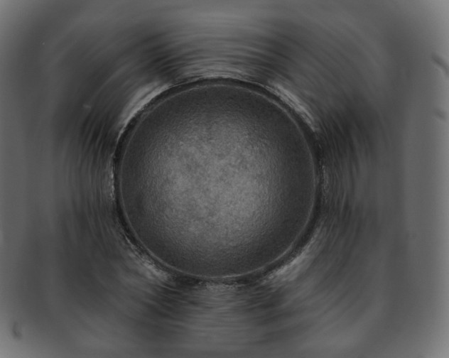 X0000093130782200709261347