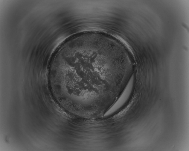 X0000093130783200709261347