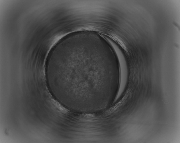 X0000093130784200709261347