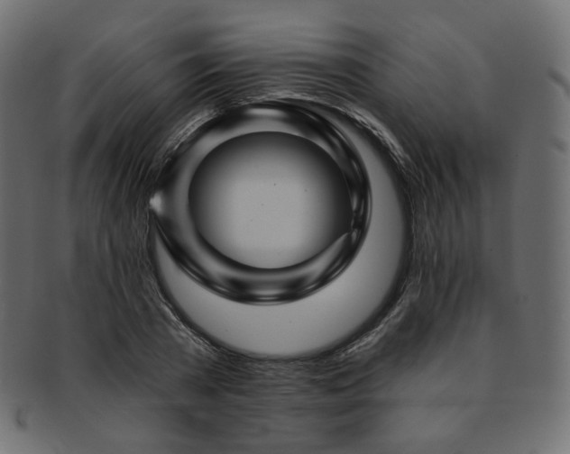 X0000093130785200709261347