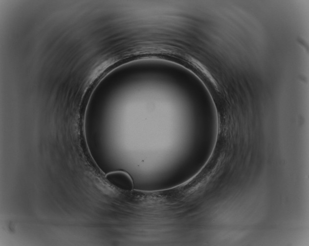 X0000093130786200709261347