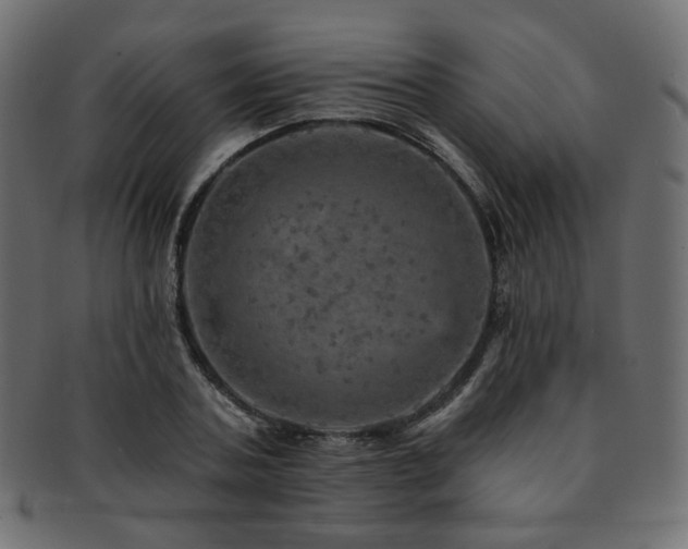 X0000093130787200709261347