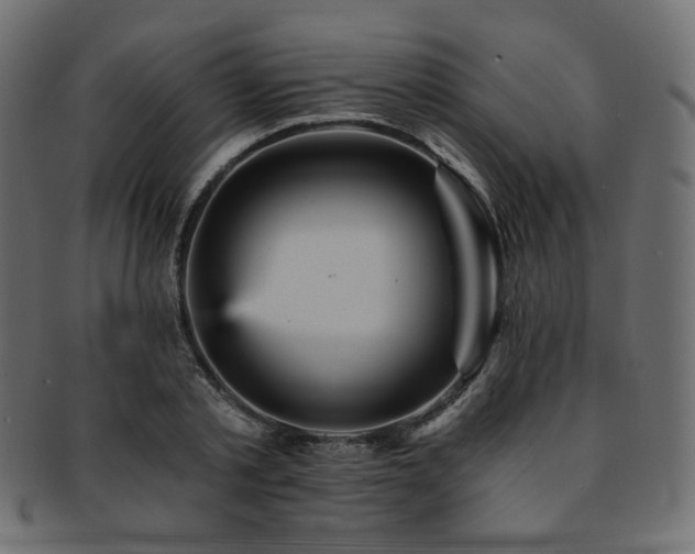 X0000093130789200709261347