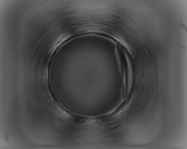 X0000093130790200709261347