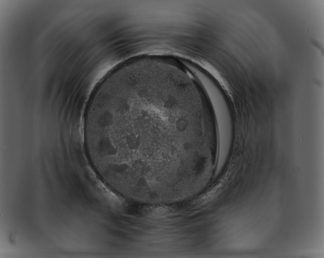 X0000093130791200709261347