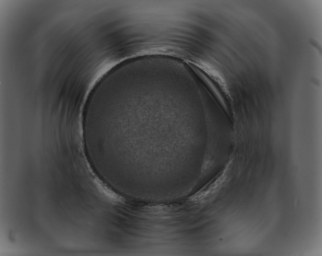 X0000093130792200709261347